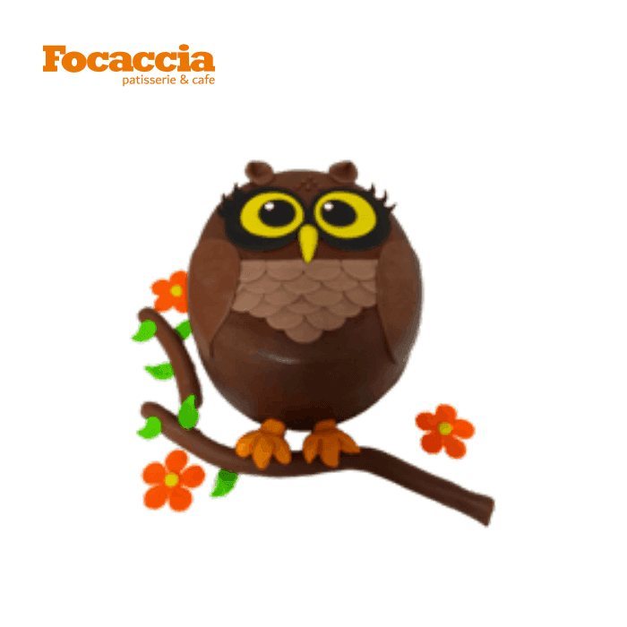 Niedliche Eulen-Torte für jeden Anlass